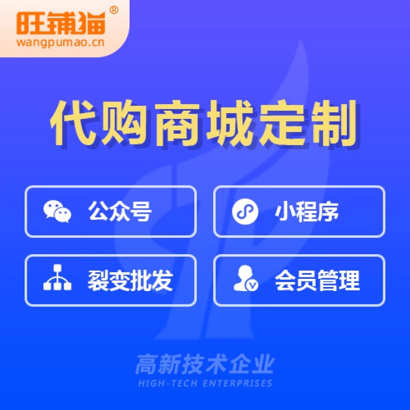 小程序開發(fā)實(shí)戰(zhàn)：從零搭建高效電商平臺(tái)